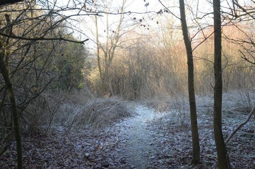 Seven Sisters Country Park