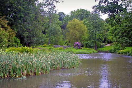 Lake and Gardens at Ightham Mote