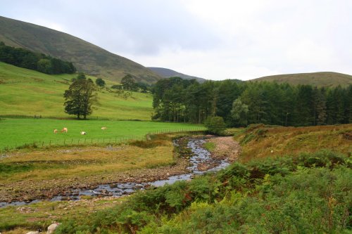 Trough of Bowland