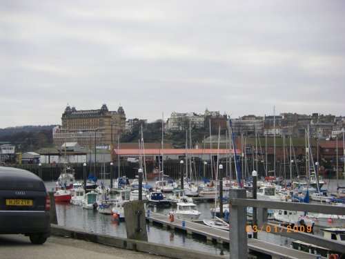 The Harbour