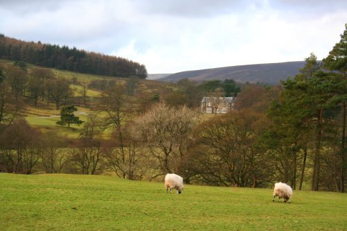 Knowlemere Manor Grounds