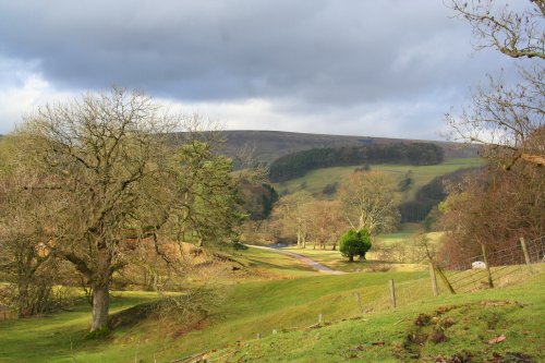 Knowlemere Manor Grounds