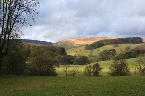 Knowlemere Manor Grounds