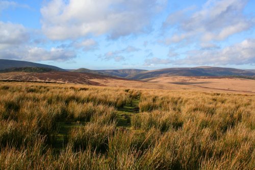 Birkett Fell