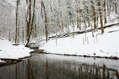 Winter stream