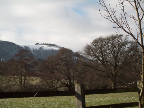 Snow on Chanctonbury Ring