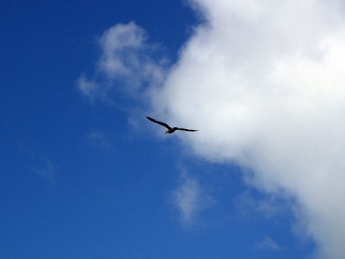South West Coast path from Ilfracombe to Combe Martin Bay