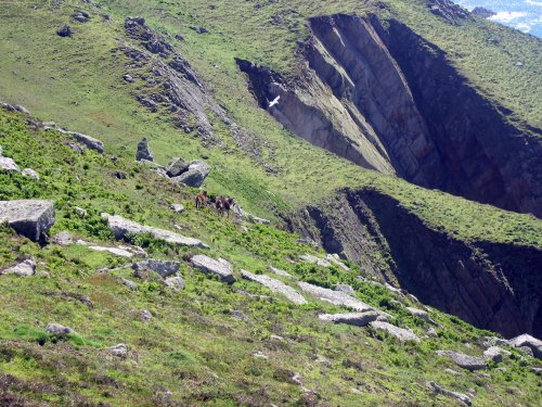 Visit to Lundy Island
