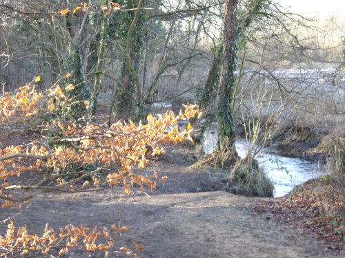 Baydale Beck, Darlington