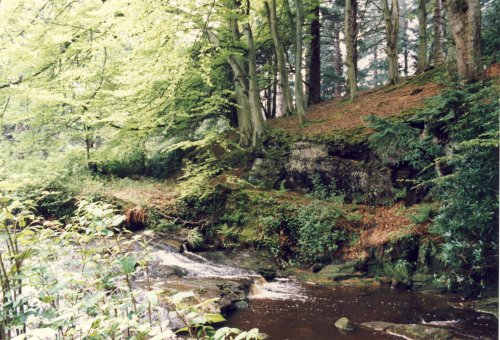A picture of Cragside