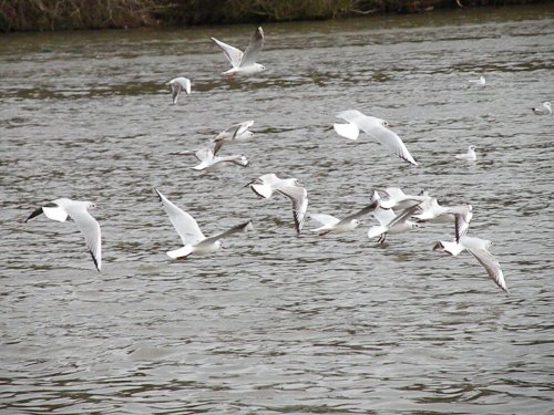 Why are we flying!!!!