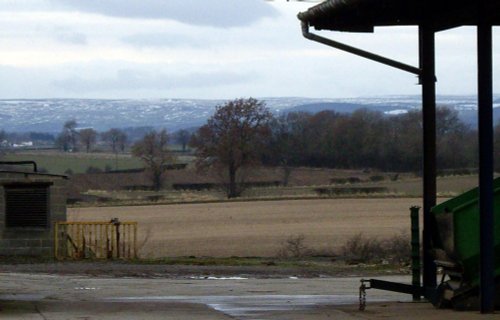 View from Manners' farm