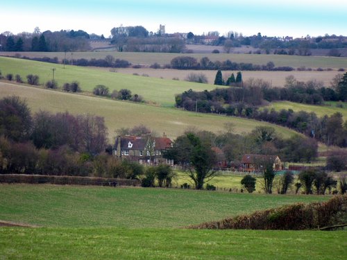 Luddesdown looking towards Cobham Church