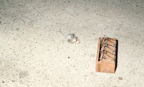 A view of the house interior