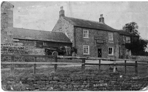 Black Horse Healey 1914-18