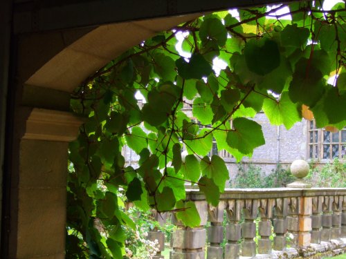 Sitting in the arbour, Haddon Hall