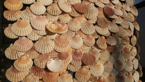 SHELLS