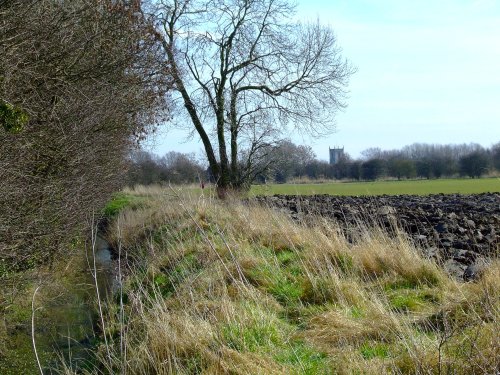 Eastrington church from the field