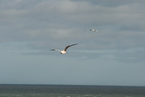 Dunstanburgh Castle