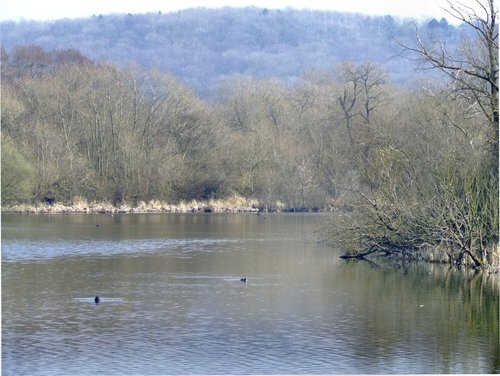 Denaby Ings, Mexborough.