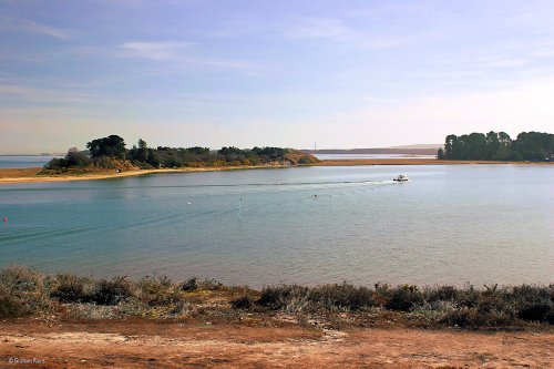 Arne Nature Reserve in Dorset