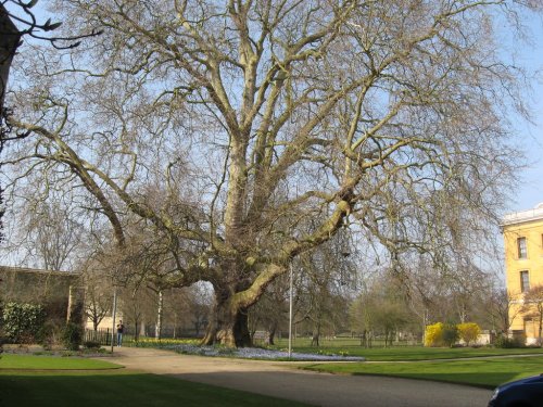Magdalen College, Oxford 03