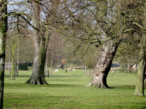 Magdalen College, Oxford 07