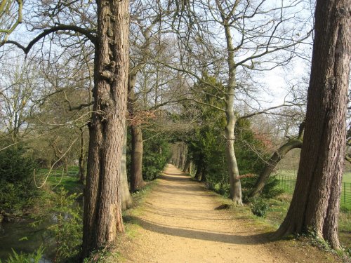 Magdalen College, Oxford 044