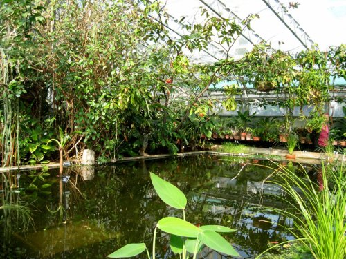 Oxford Botanical Gardens 84