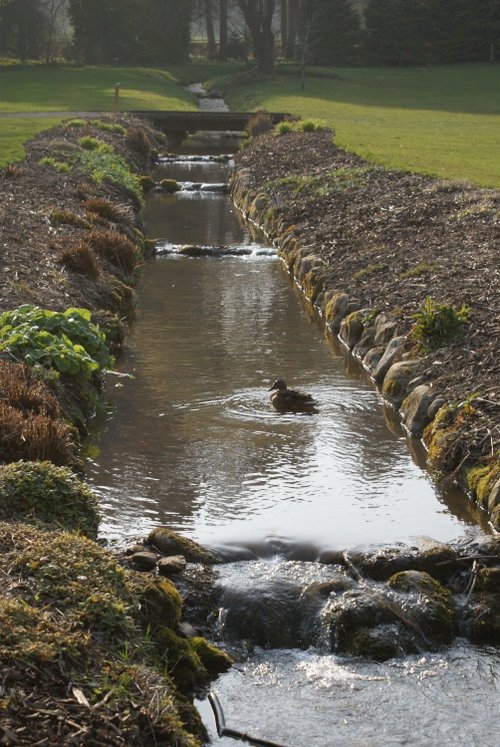 A picture of Thorp Perrow