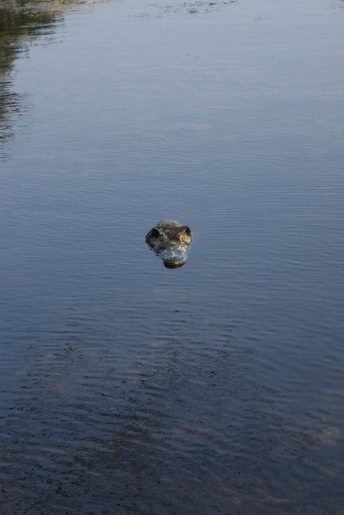 A picture of Thorp Perrow