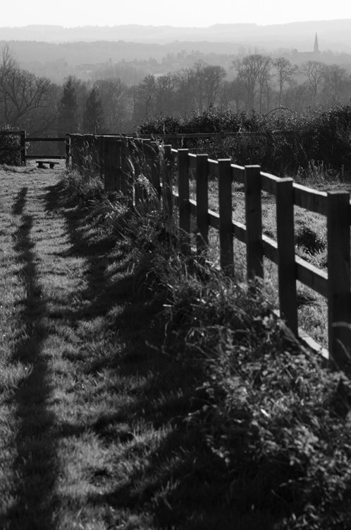 View across field to Church - Midgham