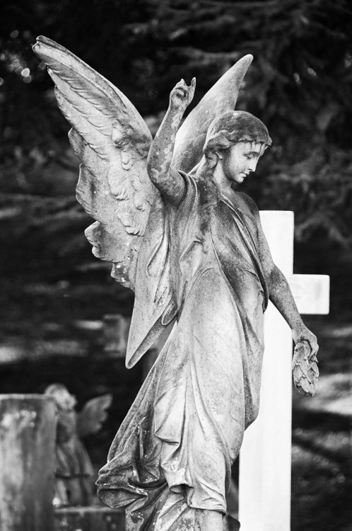 Aldershot Military Cemetery - angel pointing upwards