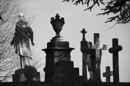 Aldershot Military Cemetery - hill top silhouettes