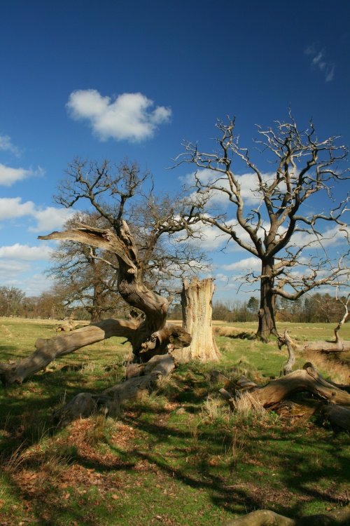 How the mighty have fallen...