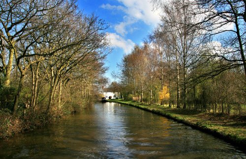 Trent and Mersey Canal near Streethay