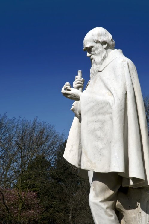 Charles Darwin In Sefton Park
