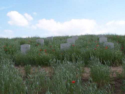 Another Lovely Scene