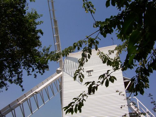 Finchingfield Post Mill through the trees