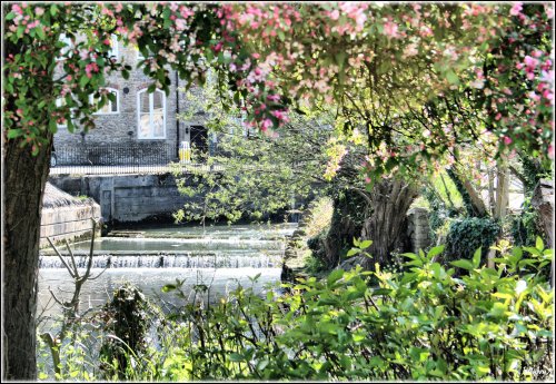 Spring is in the air