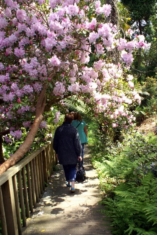 Some welcome shade from the hot sun.