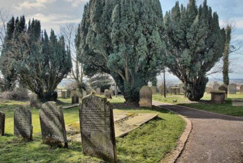 Tombstones and trees