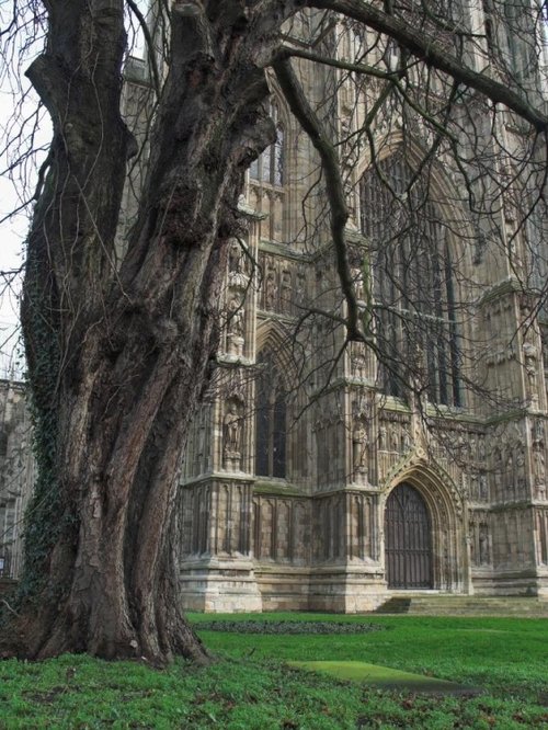 Beverley Minster 6