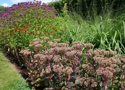 Scampston Gardens001