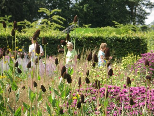 Scampston Gardens012