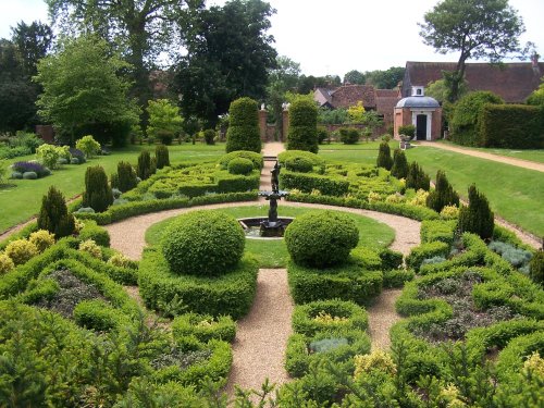 Buxus Garden