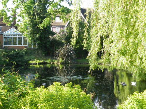 The duck pond, Ruislip