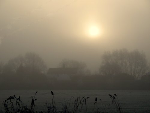 Misty morning