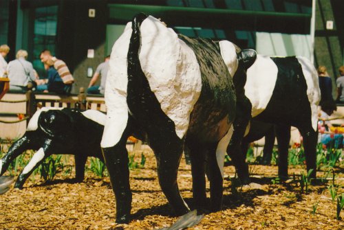 Concrete Cows in Midsummer Place
