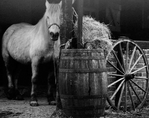 Stables, South Hill Lane, Eastcote village